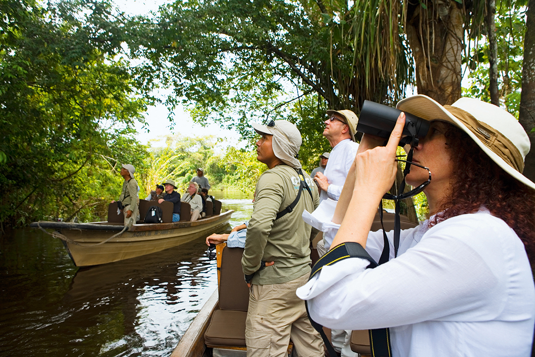Amazon - Birdwatching