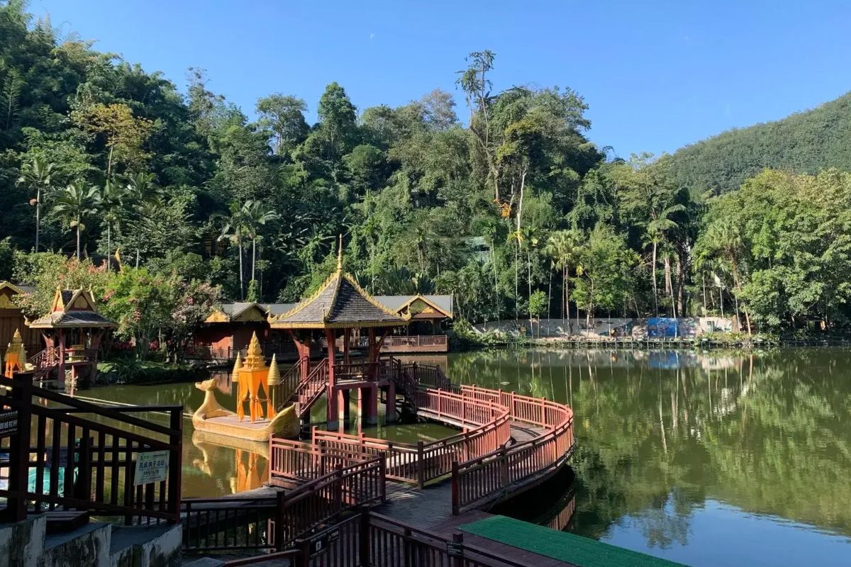 西雙版納原始森林公園