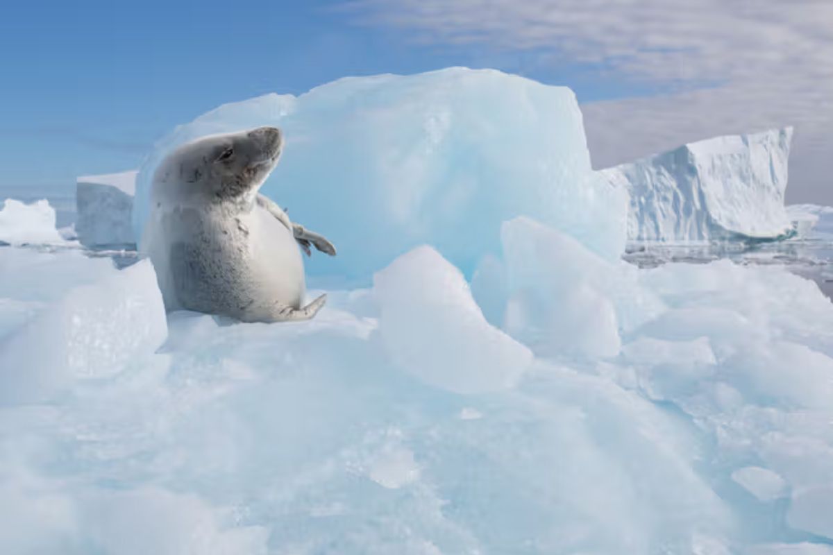 Deception Island