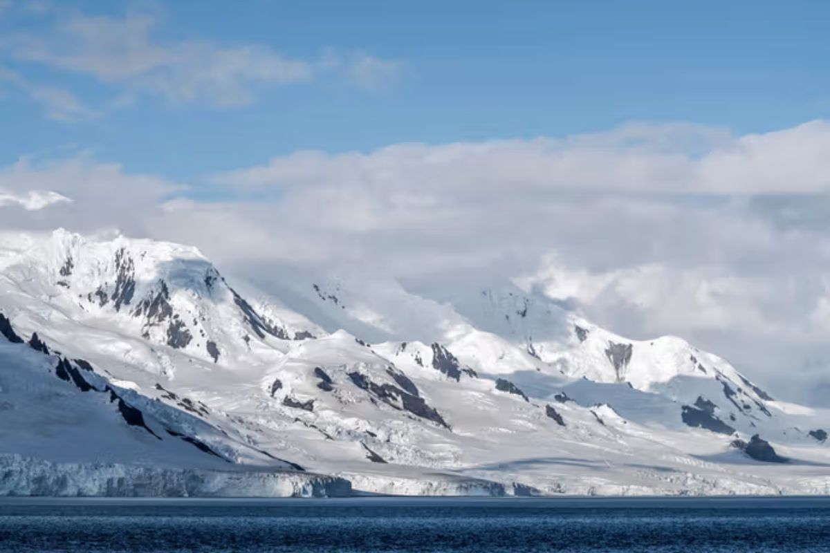 Arctic