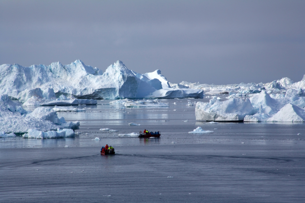 brown bluff antarctica