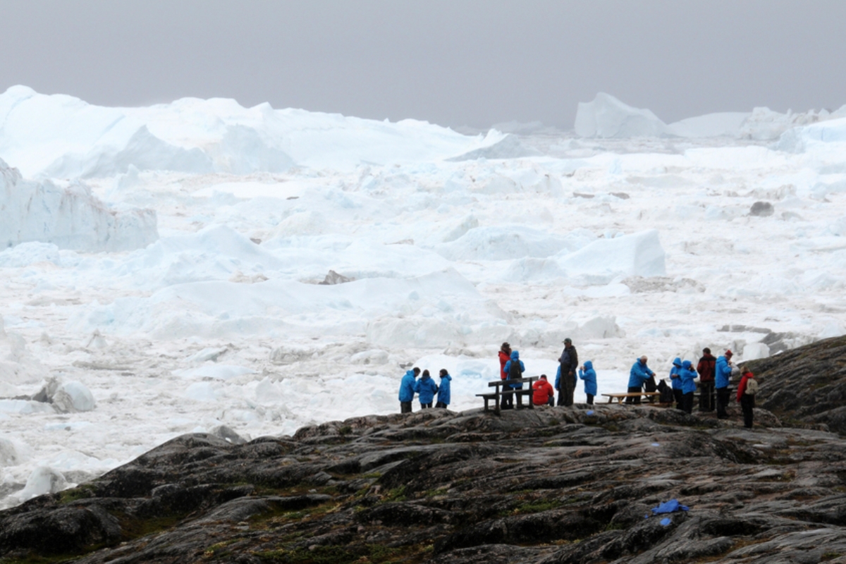 brown bluff antarctic